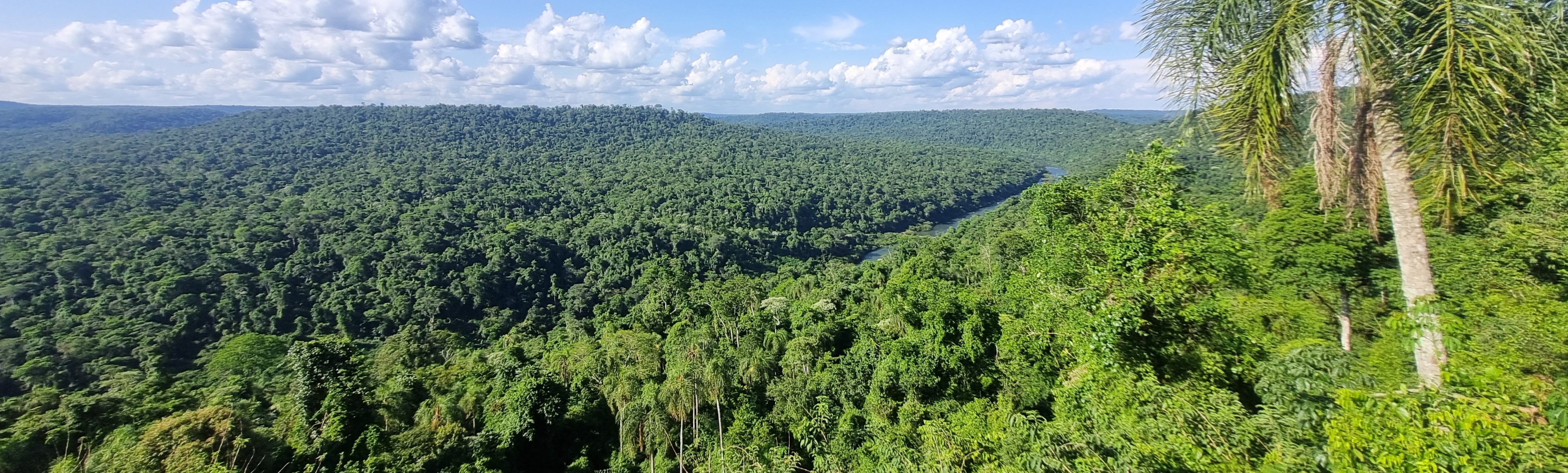 Billboard background